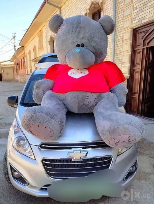 Teddy Teddi Mishka Ayiqchalar