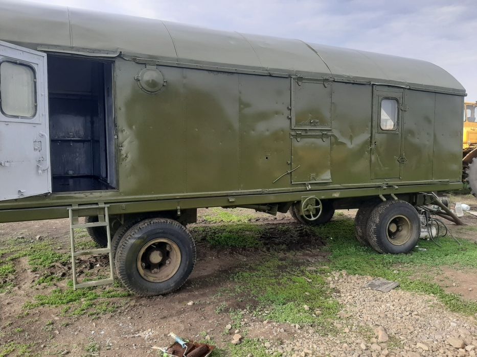 Вогончик полевой