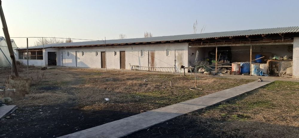 Продаётся 5 гектаров (уртачирчик)