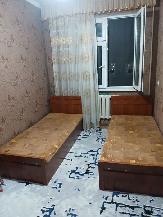 Сипалний 1 кишилик