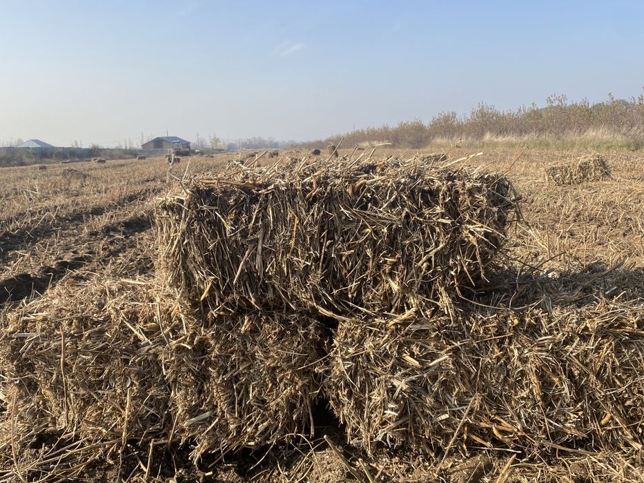 Солома соевая ( сабан )