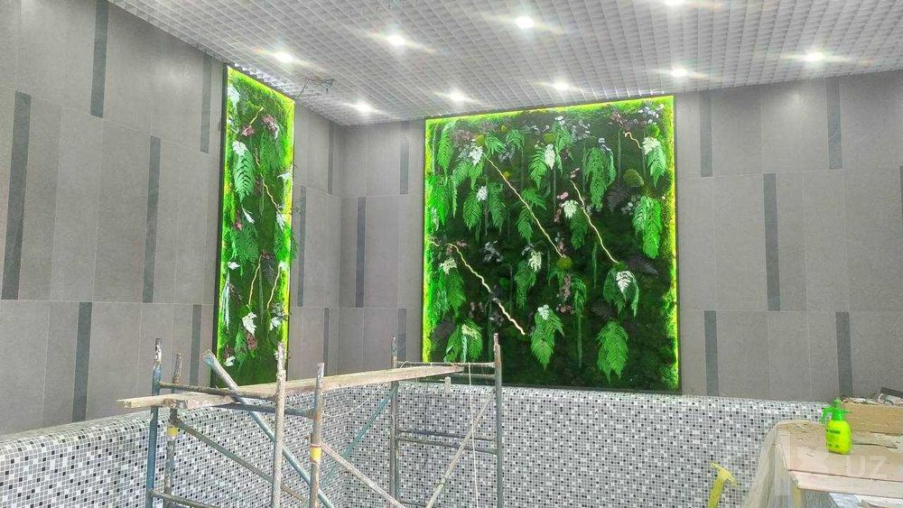 Картины из стабилизированного мха