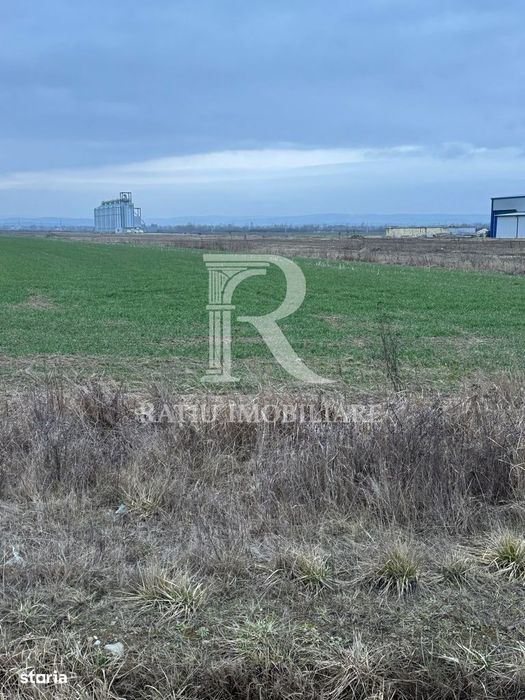 Teren de inchiriat | 20,088 ha | Sacadat | Bihor