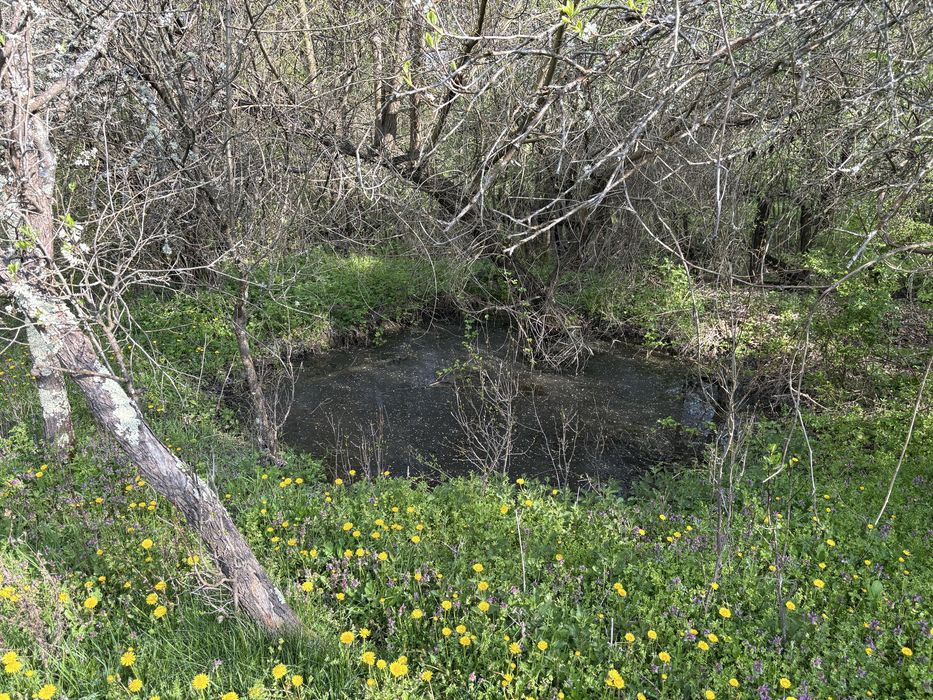 TEREN + CASĂ + LIVADĂ | 5200 mp ideal investietie sau locuinta