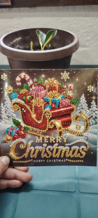 Само днес цената е 4.00 лв при закупуване на 5 бр.!