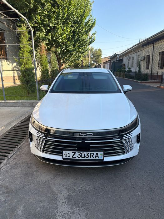 Byd chazor 4  позиция 2024