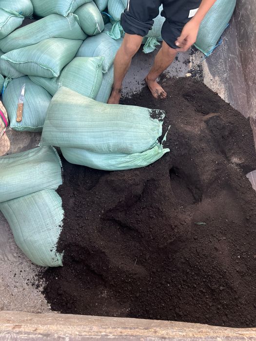 Biogumus Биогумус Gazon urug’lariyam bor.