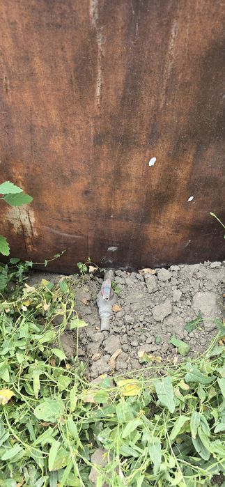 Бочка жилезниь для Вода