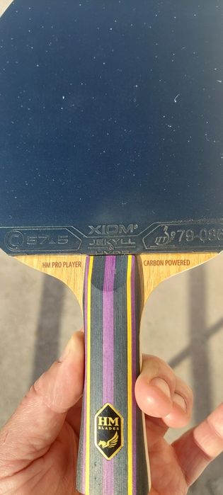 Paleta tenis de profesională