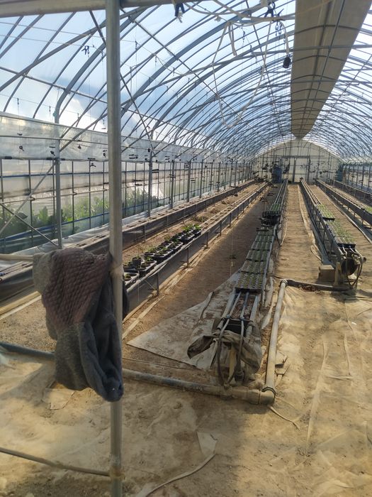 Продам теплицы корейские