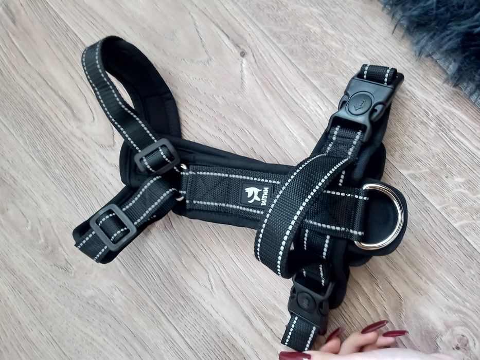 Новая шлейка для собаки!