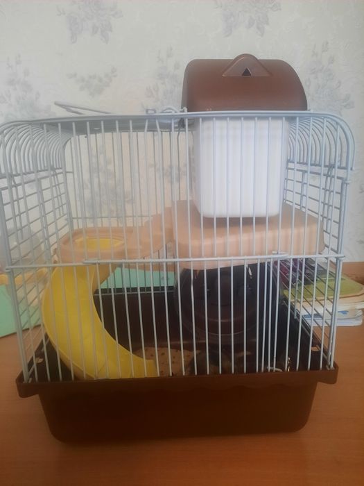 Продам хомяк хороши