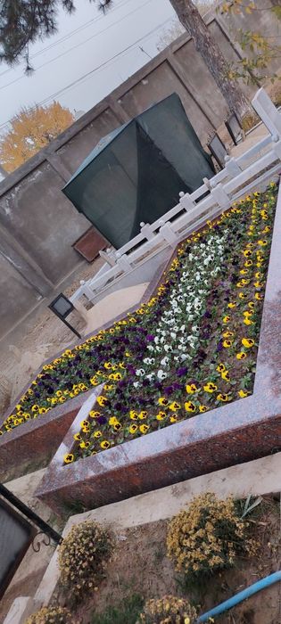 Bogbon xizmati БОГБОН хизмати