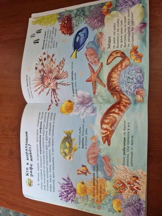 Книжка Океаны и моря