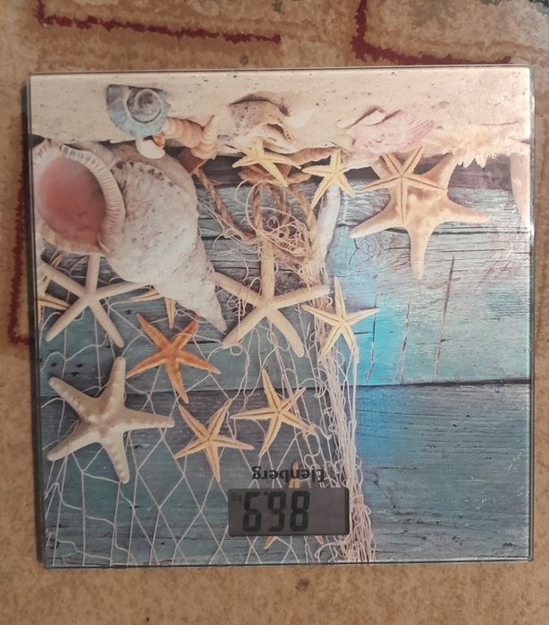 Весы напольные Elenberg