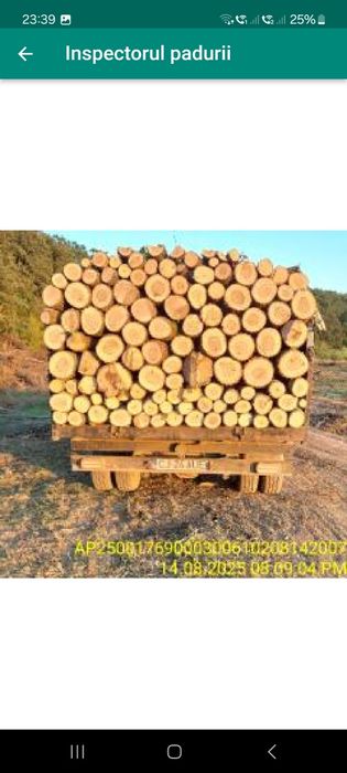 Depozit Vindem lemn de foc