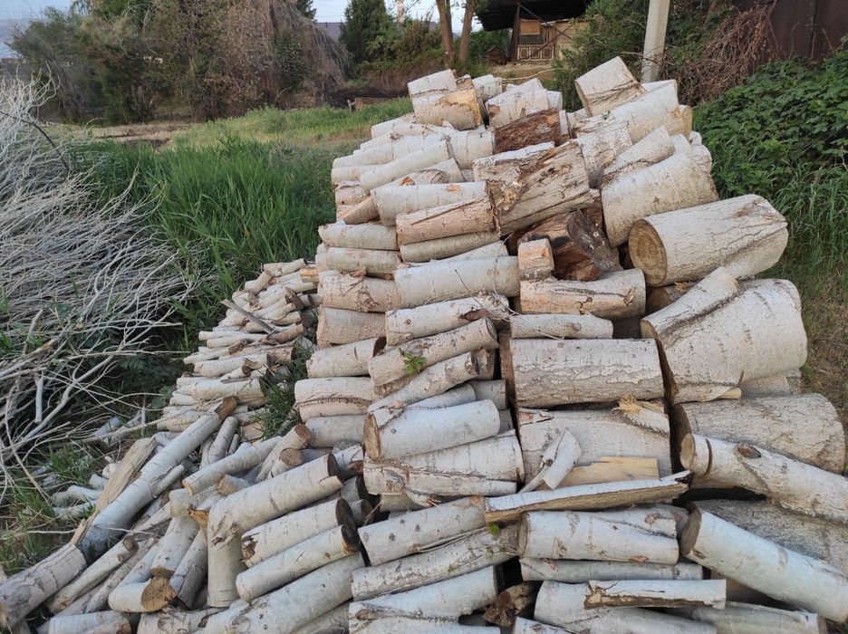 Дрова тополь, самовывоз