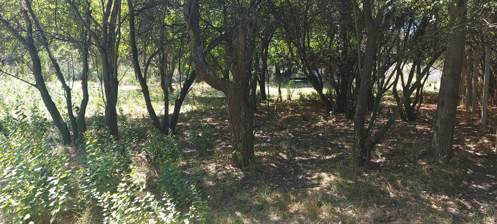 Продава се Парцел в Перник, Църква - 1440 кв.м за 46 €/кв.м - Снимка #14