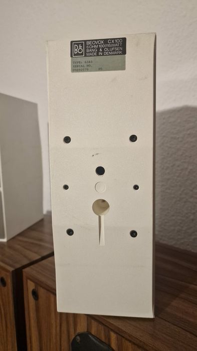Boxe Bang & Olufsen Beovox cx 100 ( sony technics,akai,focal)