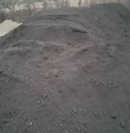 Pamant negru vegetal