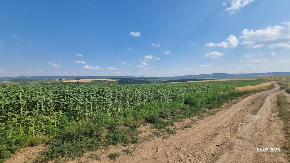 Teren extravilan Ciurbesti/Miroslava