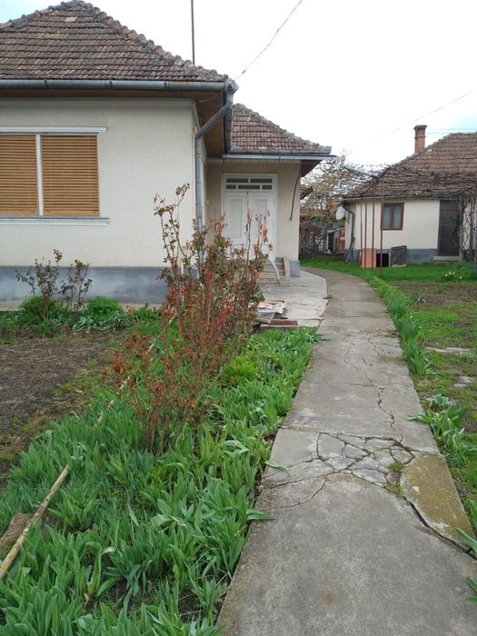 Vand 2 case in Campia Turzii