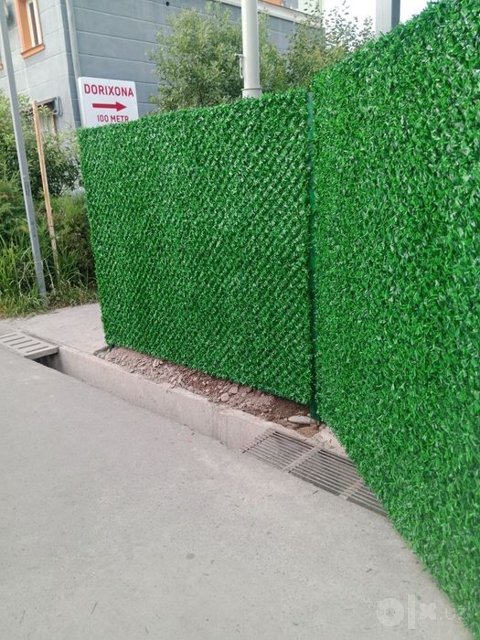 ARZON optim GaZoN va ZaBoR
