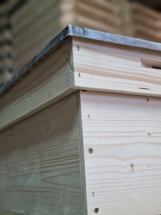 Lazi de albine de vanzare