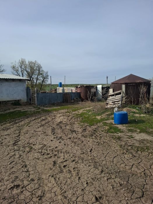 Действующее К/Х 1200гектар