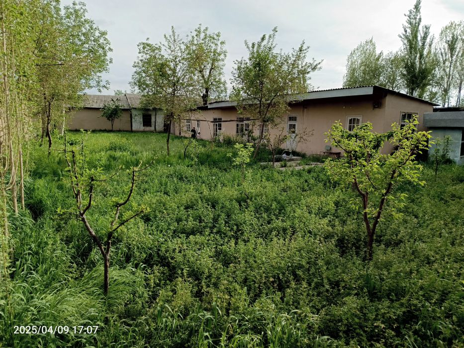 Supi qishlog'idan xovli sotiladi