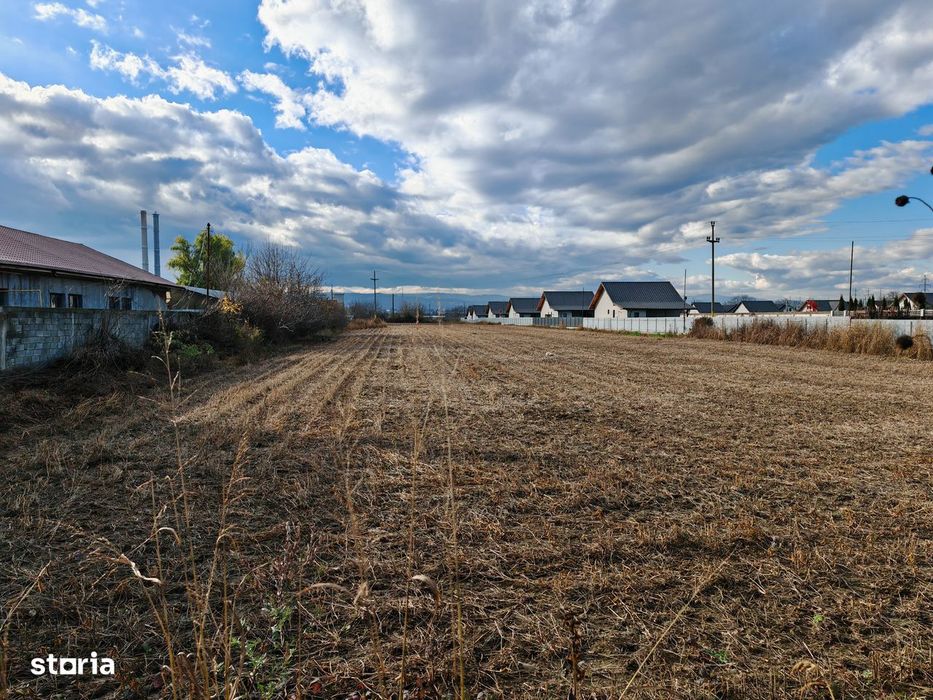 Teren constructii, Letea-Veche