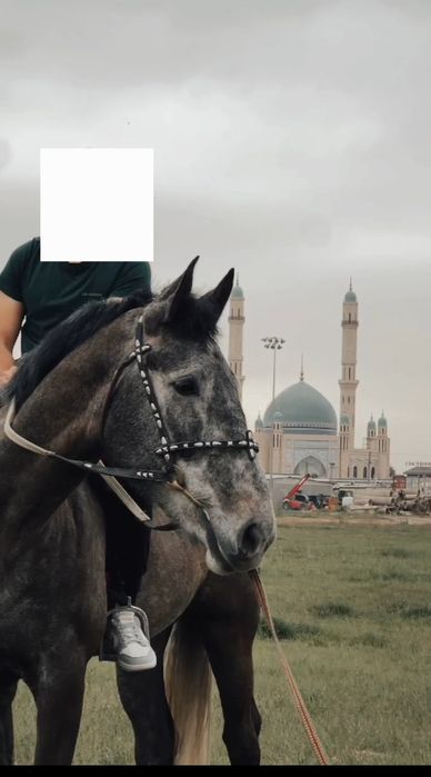 Sport Oti Spartivniy Ot