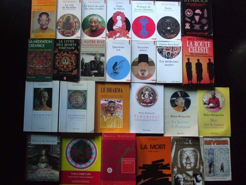 colecţie cărți budhism_tibetan, indian, zen, dao_în limba franceza