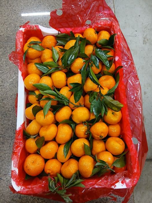 Мандарин Ящик 4500