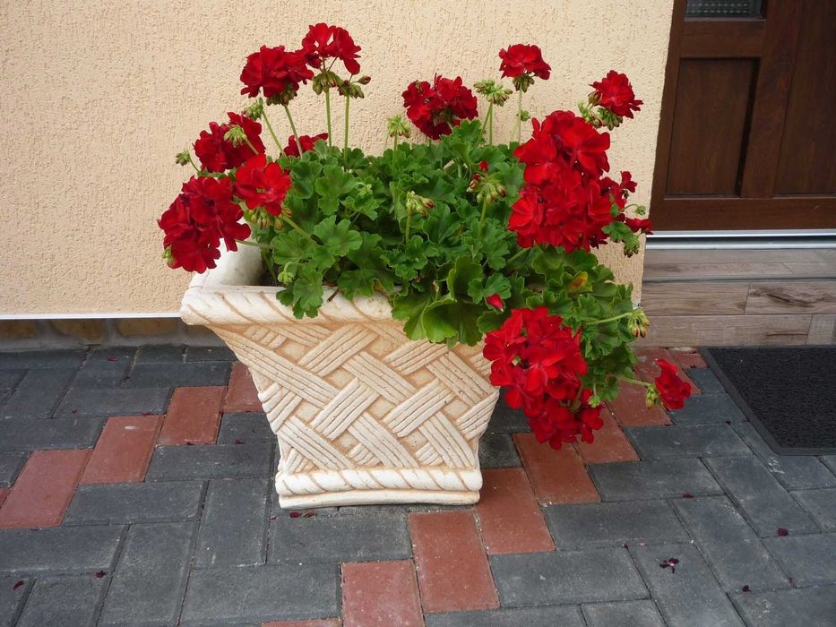 Ghivece de flori din beton