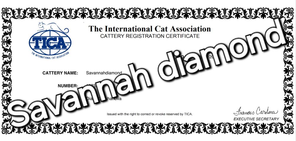 Саванна ф6 подростки