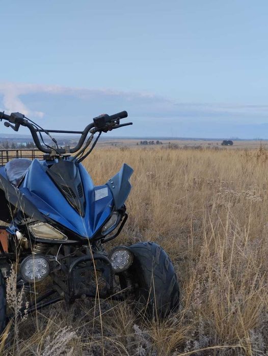 квадроцикл ATV 110