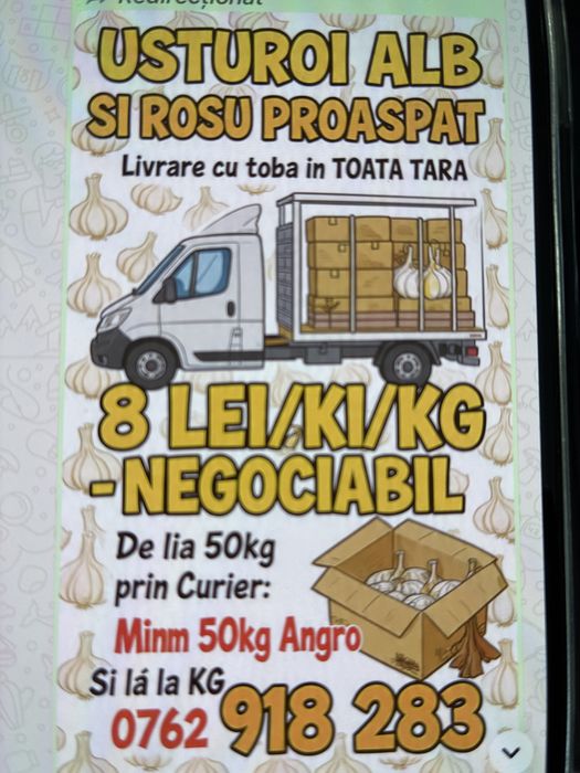 Usturoi alb si rosu Proaspat