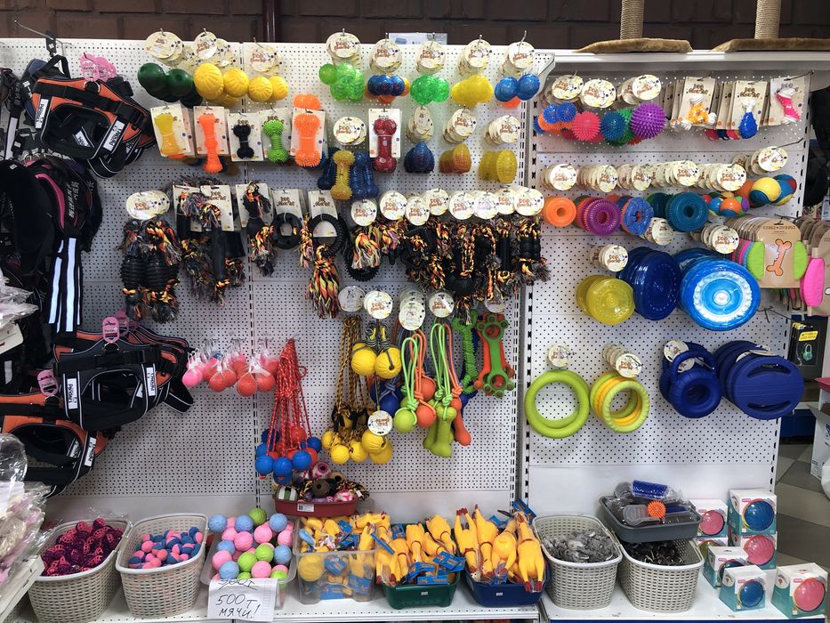 Мячи для собак разные