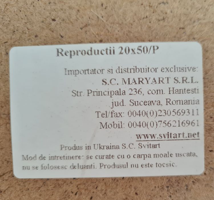 Tablou cu maci 20x50