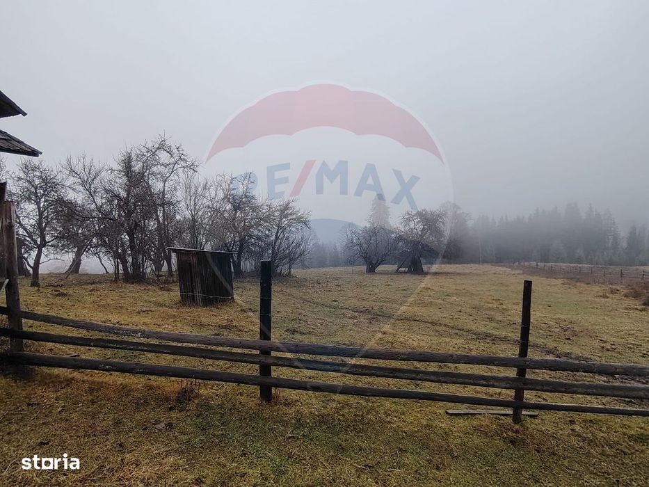 Teren INTRAVILAN 23.238m.p. Dorna-Arini / Cozănești