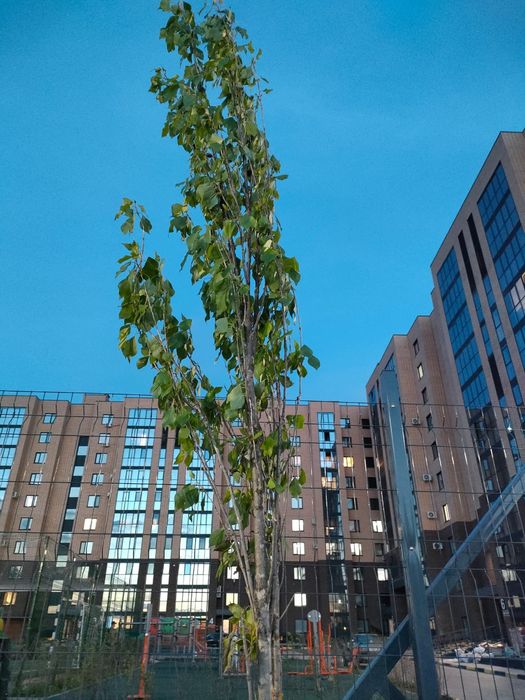 Продам 4-ёх комн. квартиру