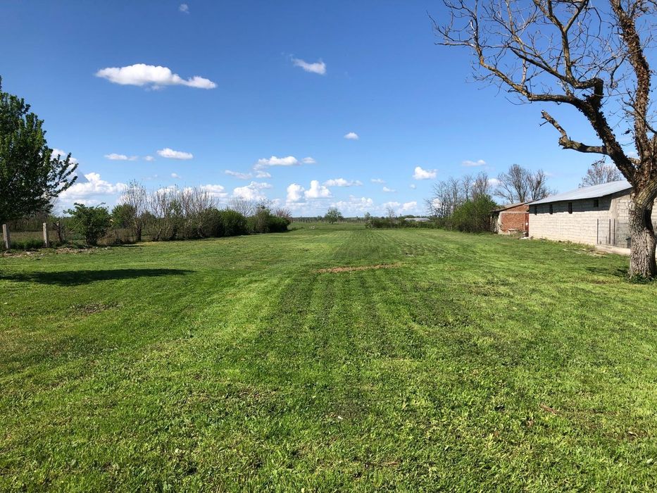 Vand teren intravilan Dragsina 37euro mp