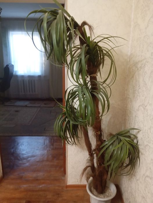 Продам искусственные пальмы