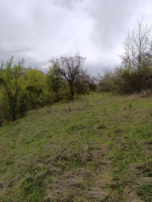 Земеделска  земя