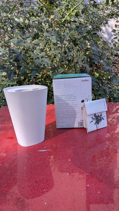 Ghiveti plante suspendat tavan