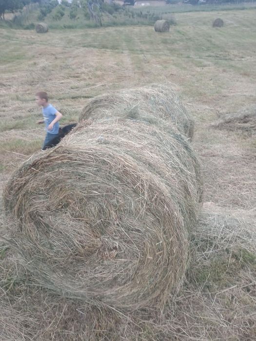 Băloți rotunzi de fan