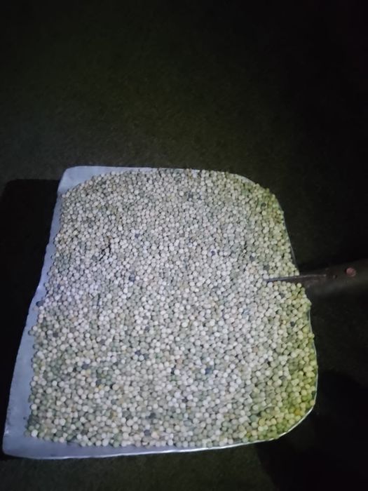 Лён.Платный чат!Все корма.