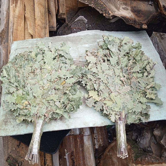 Веники для бани Дуб