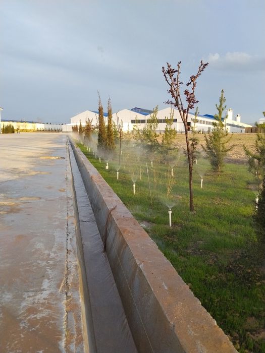 Gazon ruloni uruğ xam sepish landshaft dizayni xizmatlari